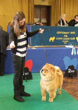 The Chow Chow Club